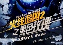2013年国产经典动作片《火线追凶2之黑色玫瑰》HD国语中字