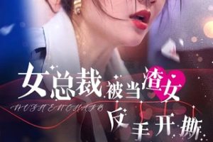 女总裁被当渣女反手开撕[全30集]李家园子