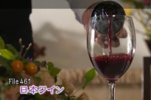 美之壶(461) 日本葡萄酒 [日语中日双字]