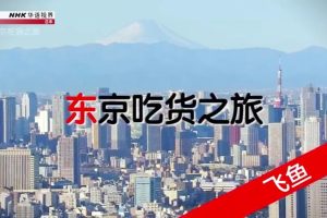 NHK华语视界 东京吃货之旅：飞鱼 [国语中字]