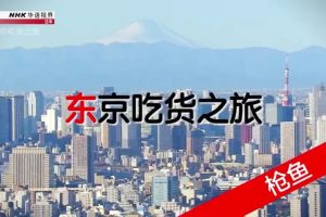 NHK华语视界 东京吃货之旅：枪鱼 [国语中字]