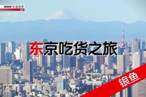 NHK华语视界 东京吃货之旅：银鱼 [国语中字]