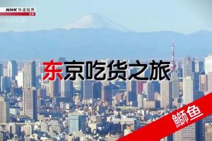 NHK华语视界 东京吃货之旅：鰤鱼 [国语中字]