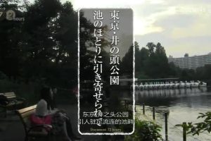 纪实72小时 东京 井之头公园 引人驻足流连的池畔 [日语日字]