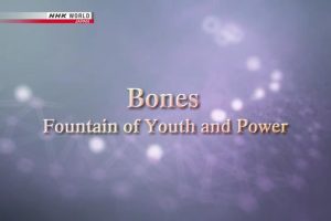NHK World 人体(4) 骨骼 青春与活力的源泉 [英语无字]