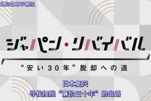 日本复兴 寻找摆脱廉价日本30年的出路 [日语中字]