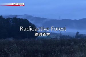 日本福岛辐射森林 [英语中英双字]