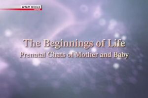 NHK World 人体(7) 生命起源 婴儿与母亲的产前交流 [英语无字]