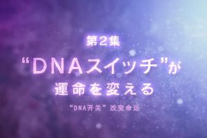 人体基因Ⅱ(2) DNA开关 改变命运 [日语中字]