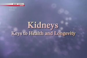 NHK World 人体(2) 肾脏 健康与长寿的关键 [英语无字]
