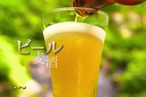 新日本风土记「ビール」 [日语日字]