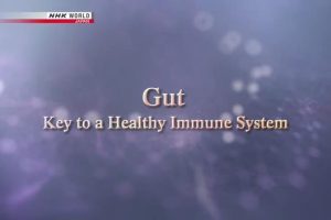 NHK World 人体(5) 肠胃 健康免疫系统的关键 [英语无字]