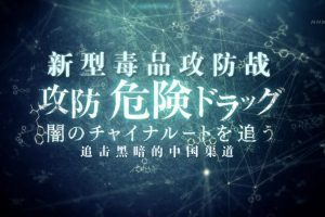 新型毒品攻防战 追击黑暗的中国渠道 [日语中字]