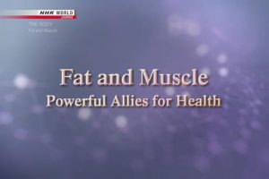 NHK World 人体(3) 脂肪与肌肉 健康双剑客 [英语无字]