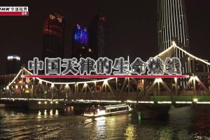 NHK华语视界 中国天津的生命热线 [国语中字]