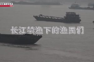 NHK 华语视界 长江禁渔下的渔民们 [国语无字]
