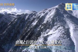 世界遗产 屋久岛Ⅰ 台风与巨岩所孕育的绳文杉[日语中日双字]