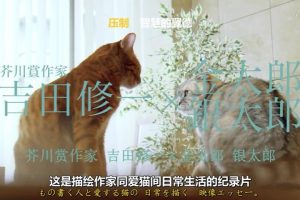 猫咪记录片 我是一只猫 活在镰仓 养老孟司与小圆 [日语中日双字] NHK纪录片  6月前  0  0  2 [编辑]