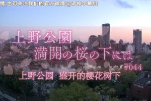 纪实72小时 上野公园 盛开的樱花树下[日语中日双字]