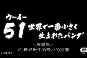 大熊猫51的故事[日语中字]