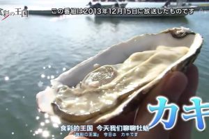 食彩之国 第465回 牡蛎 [日语中日双字]