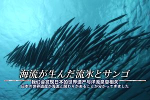 世界遗产 宇宙俯瞰日本Ⅰ 洋流孕育的流冰和珊瑚 [日语日字]