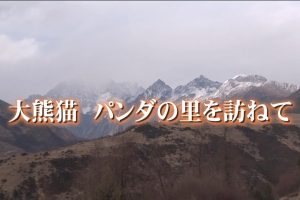 中国神秘纪行 第二季 05 探访大熊猫的故乡[日语日字]