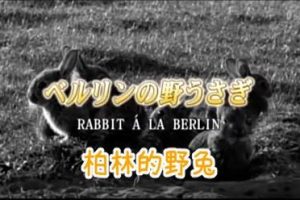 兔子和自由的故事 柏林墙的兔子[日语中字]