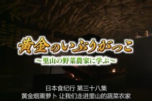 日本美食纪行 (38) 黄金烟熏萝卜[日语中字]