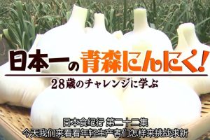 日本美食纪行 (22) 日本第一的青森大蒜[日语中字]