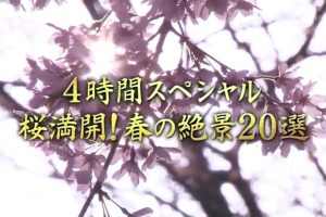 京都ぶらり歴史探訪(07) 4時間スペシャル 「桜満開!春の絶景20選」 [日语无字]