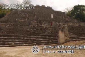 世界遗产 卡拉克穆尔的古代玛雅城市和热带森林[日语中日双字]