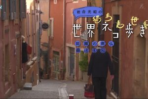 猫步走世界 南法田园[日语中日双字]