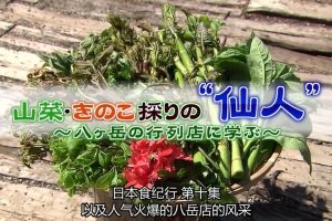 日本美食纪行 (10) 采山菜和竹笋的仙人[日语中字]
