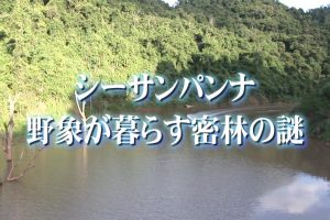 中国神秘纪行 第二季 06 野生象群生活的森林之谜[日语日字]