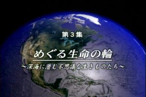 大海 未知的世界(3) 生命之环 深海中不可思议的生物[日语无字]