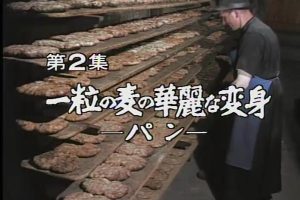 食物和文明的世界群像系列（2）：一粒麦子的华丽变身~面包[日语日字]