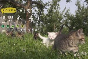 猫步走世界 日本津轻的四季 春夏特別編[日语中日双字]