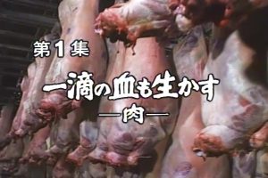 食物和文明的世界群像系列（1）：一滴血也能利用~肉[日语日字]