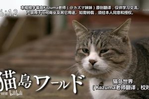 目击日本 猫岛世界[日语中日双字]