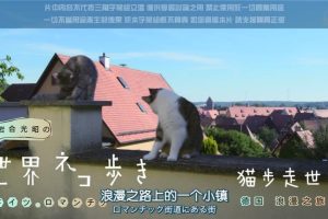 猫步走世界 德国 浪漫之旅[日语中日双字]