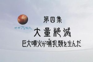 地球大进化(4) 动物命运与火山暴发[日语无字]