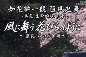 目击日本如花瓣一般 随风起舞 奈良 生命的映像诗[日语中日双字]