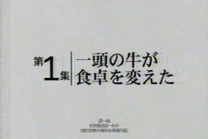 地球 富裕的界限(1) 改变餐桌的一头牛[日语中字]