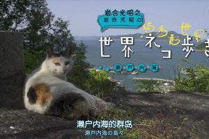 猫步走世界 瀨戶內海[日语中日双字]