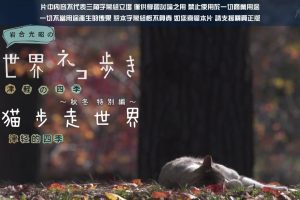 猫步走世界 日本津轻的四季 秋冬特別篇[日语中日双字]