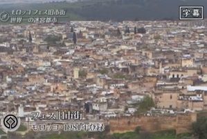 世界遗产 非斯古城[日语中日双字]