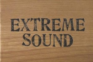 群星《极致原音精选1》(Extreme Sound1)[WAV+CUE]