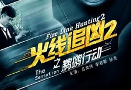 2013年国产经典动作片《火线追凶2之鹈鹕行动》HD国语中字