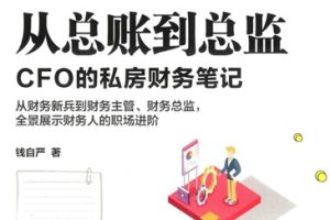 从总账到总监  CFO的私房财务笔记 [钱自严][中国轻工业出版社]